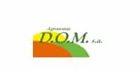 Dom